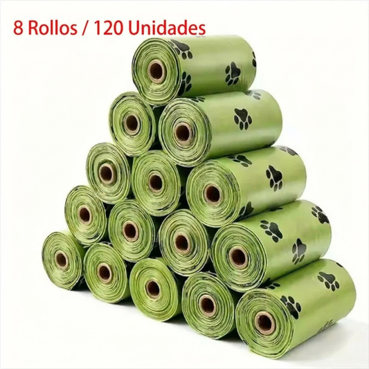 Bolsas Biodegradables